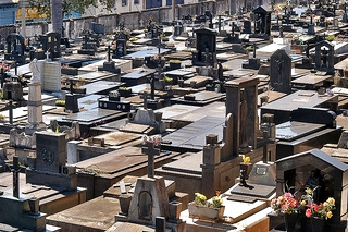 Ministério Público move ação contra PBH devido a más condições do Cemitério do Bonfim - Foto: Portal PBH