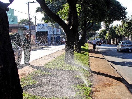 Devido à arborização, BH já recebeu a alcunha de "cidade jardim"