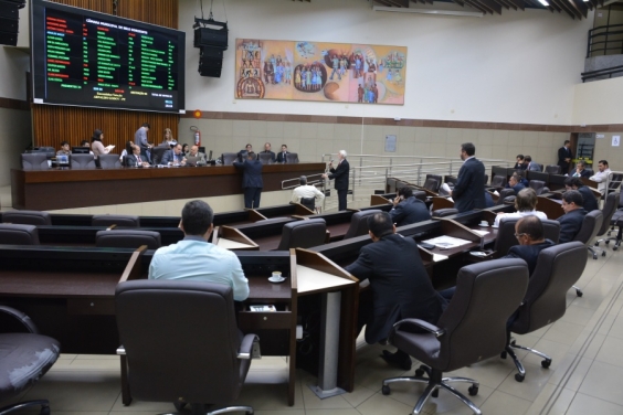 Reunião plenária / Foto: Bernardo Dias