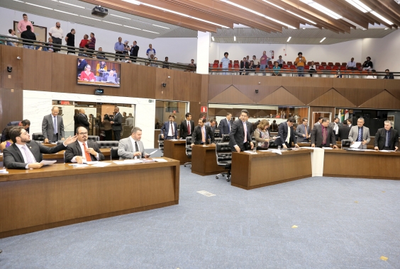 Reunião plenária de 10 de agosto
