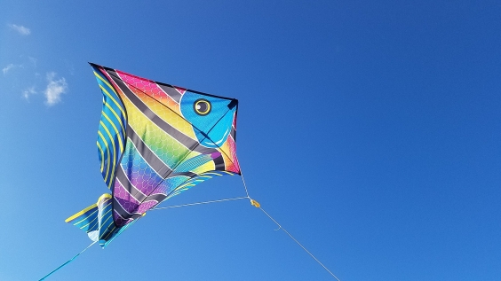 Pipa colorida, em formato de peixe, voado no céu