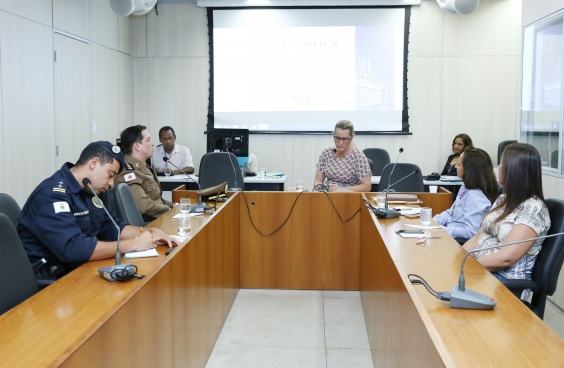 Comissão Especial recebe agentes de segurança e cidadãos para avaliar nova estratégia