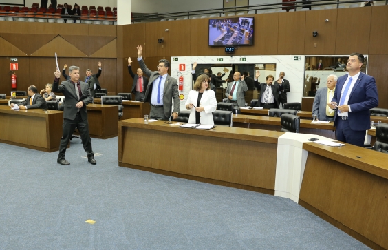 61ª reunião ordinária do Plenário, em 1º de agosto de 2018