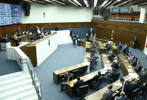 3ª reunião ordinária do Plenário, em 6 de fevereiro de 2019