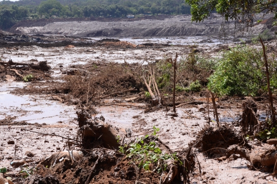 Lama de rejeitos cobrindo leito de rio e área de vegetação