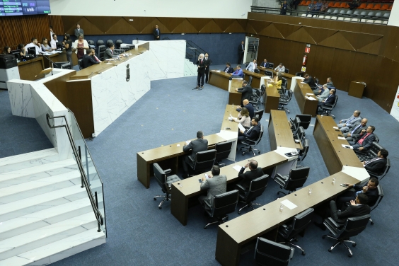 12ª reunião ordinária do Plenário, no dia 7 de março de 2019