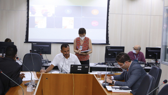 2a_Reuniao_Ordinaria_Comissao_de_Desenvolvimento_Economico_Transporte_e_Sistema_Viario_ Telão ao fundo em videoconferência