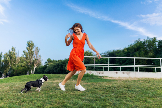 cão de pequeno porte, preto e branco, brinca com uma jovem ao ar livre. A mulher usa um vestido vermelho. 