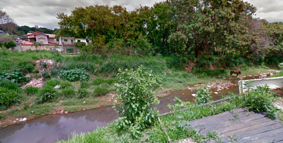 Terreno abandonado no Bairro Havaí será vistoriado nesta quinta (24/3)