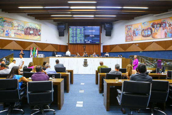 Imagem frontal do Plenário com os dois painéis de Yara Tupinambá. 