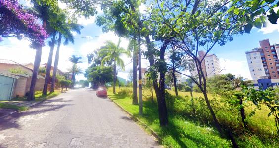 Rua de bairro arborizada com terreno gramado à direita, durante o dia. 