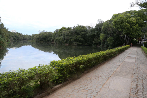 Imagem do espelho d'água no Parque Lagoa do Nado