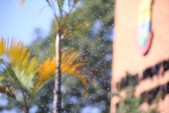Imagem de gotículas de água sendo aspergidas no jardim. Ao fundo, a fachada da CMBH 