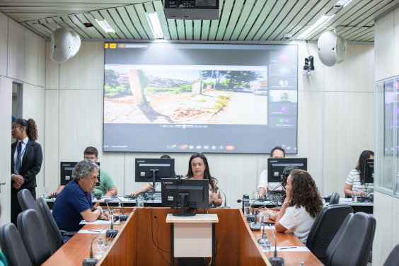 Imagem da vereadora Loíde Gonçalves (Podemos) presidindo a audiência