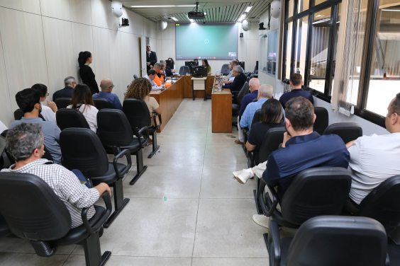 parlamentares e participantes presentes em audiência pública na câmara municipal de bh