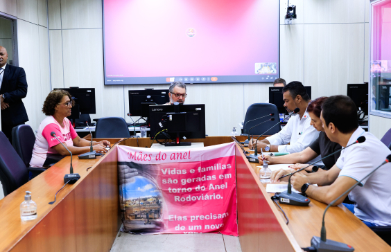 parlamentares e participantes presentes em reunião na câmara municipal de bh