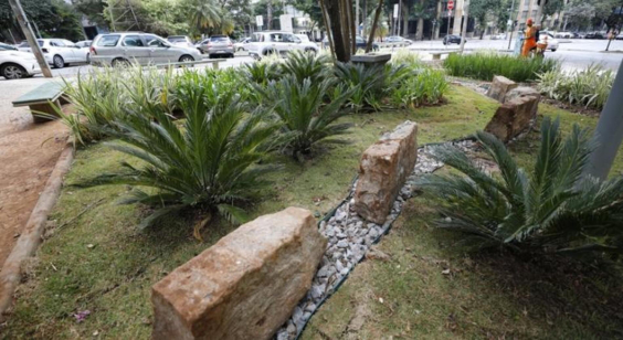 Jardim de chuva construído no centro de BH