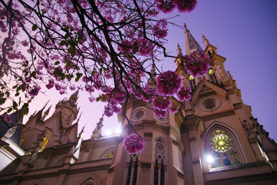 Flores e Igreja da Boa Viagem, em Belo Horizonte, ao fundo