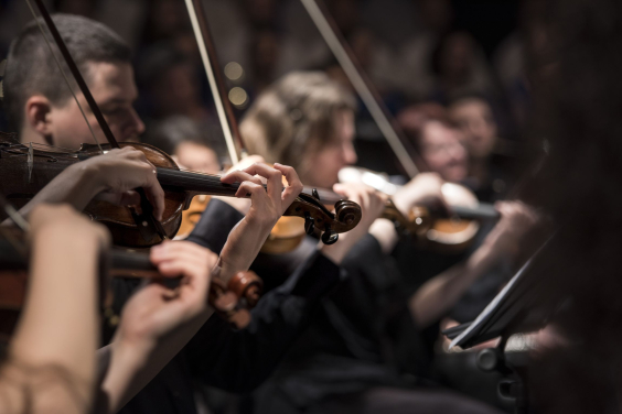 Violinistas
