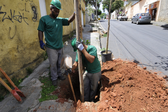 Dois trabalhadores da Prefeitura plantam árvore em calçada de rua do bairro Esplanada