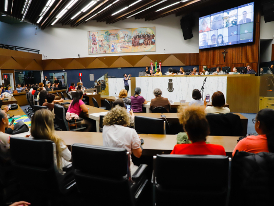 parlamentares e participantes presentes em audiência pública na câmara municipal de bh