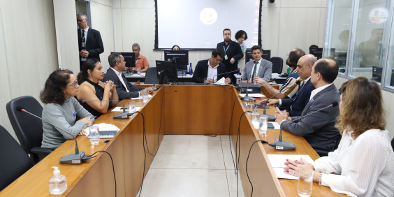 Imagem doo Plenário Camil Caran. Participantes da audiência s sentados em mesa em formato de U