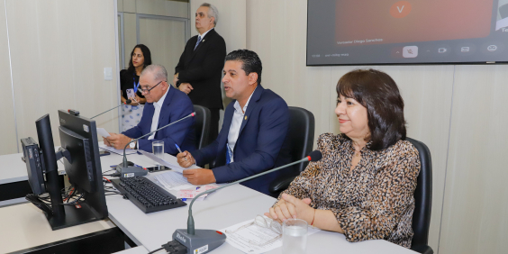 Vereadores assentados no Plenário Helvécio Arantes em reunião da comissão