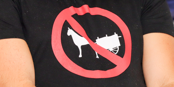 imagem de camiseta com o símbolo de proibido sobre animal transportando carroça