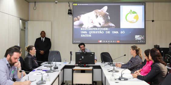 imagem dos vereadores e demais participantes de audiência pública