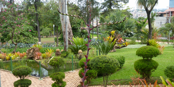 Trecho do Parque Jacques Cousteau