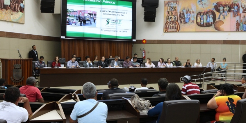 Audiência da Comissão Especial em Defesa dos Direitos dos Animais reuniu ativistas, carroceiros e representantes da Prefeitura