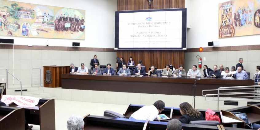 Comissão de Meio Ambiente debate faixa verde na Raja Gabáglia