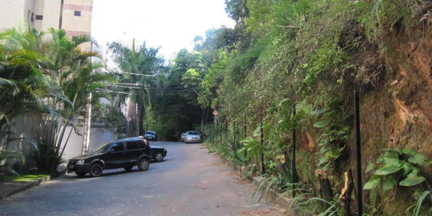 Área verde de 3 mil m2 dará lugar a edifício residencial