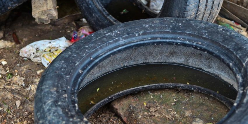 Água acumulada favorece presença de mosquitos transmissores dos vírus do chikungunya e da dengue (Foto: Cláudio Fachel)