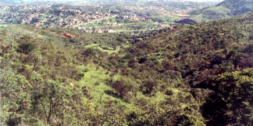 Região do Isisidoro, no vetor norte de BH (Foto: Portal PBH)