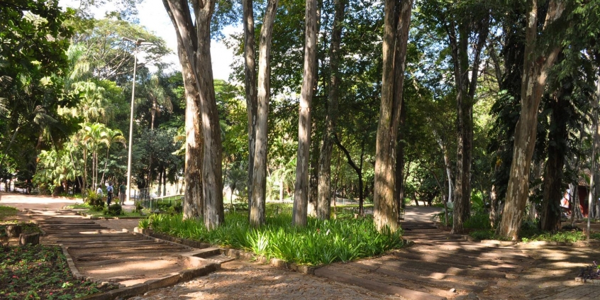 Área verde no Parque Municipal Professor Guilherme Lage, no Bairro São Paulo (Regional Nordeste)
