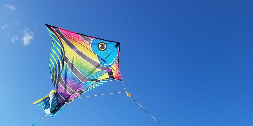 Pipa colorida, em formato de peixe, voado no céu