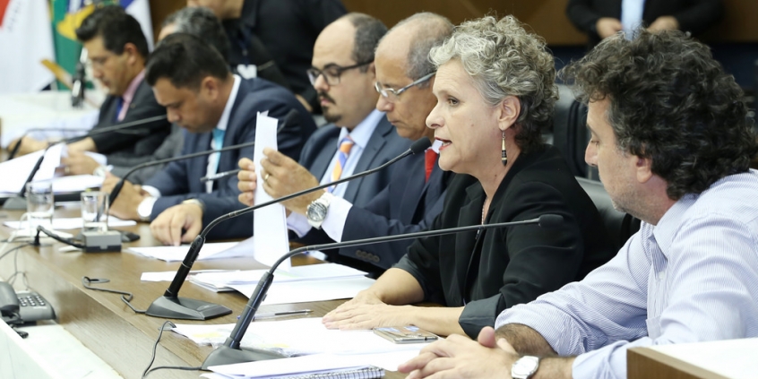 Reunião ad referendum da comissão especial para apreciação da Pelo 3/2017, em 13/3