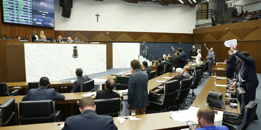 51ª reunião ordinária do Plenário, em 12 de junho de 2018