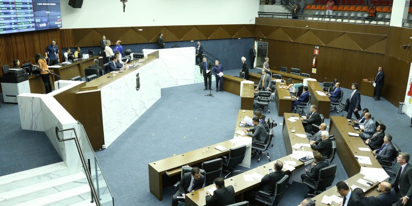 3ª reunião ordinária do Plenário, em 6 de fevereiro de 2019