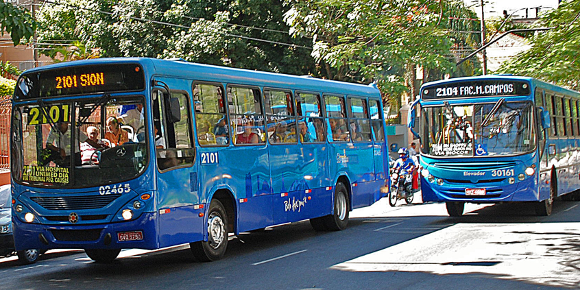 Dois ônibus transitam em avenida arborizada, durante o dia.