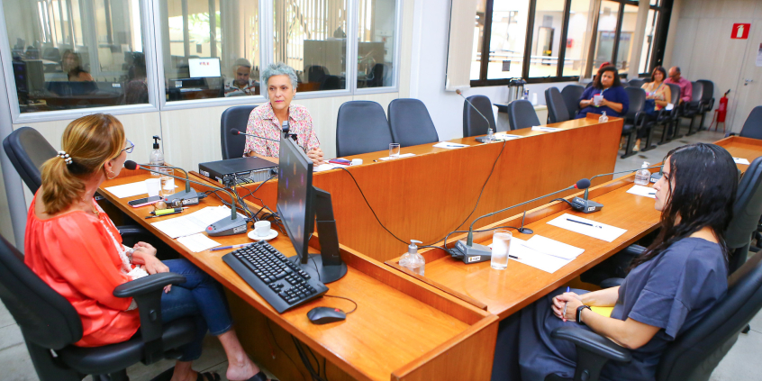 Comissão de Educação debate linha de pesquisa de doenças raras e deficiência no mestrado profissional 