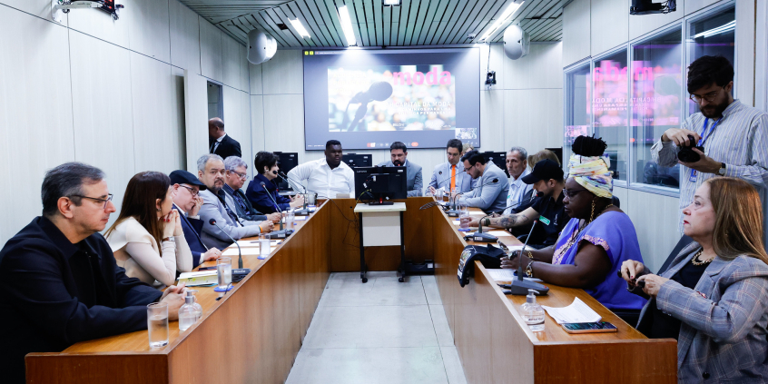 parlamentares e participantes presentes em audiência pública na câmara municipal de bh