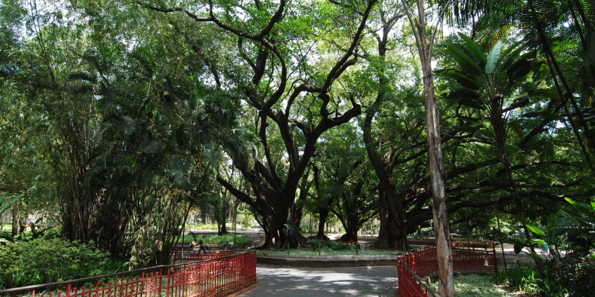 Foto do Parque Municipal