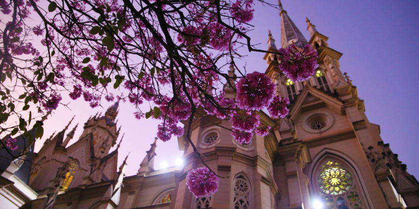 Flores e Igreja da Boa Viagem, em Belo Horizonte, ao fundo