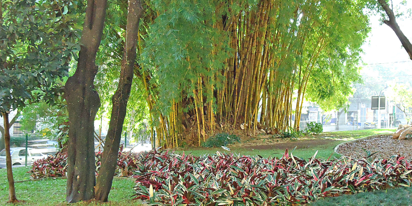 parque urbano