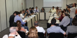 Comissão discute preservação de áreas verdes renascentes em BH