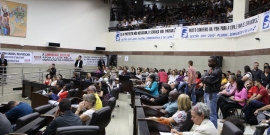Funcionalismo municipal lotou plenário principal da Casa para reivindicar melhorias