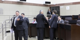 Reunião Plenária de 13 de março 2013