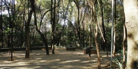 foto do parque da matinha
